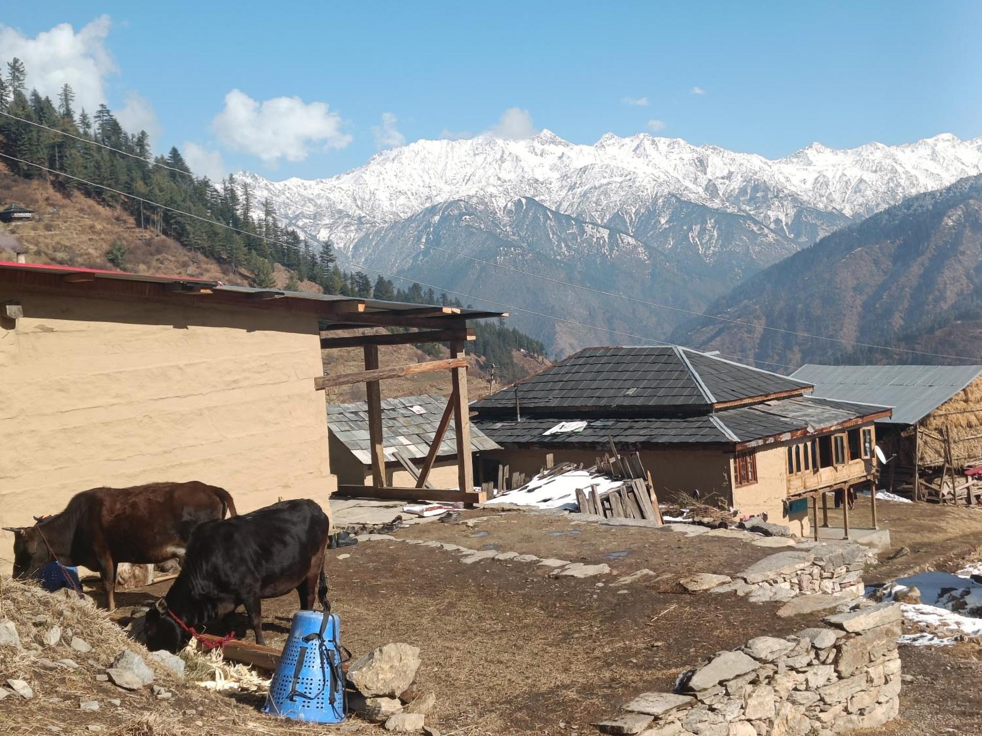 Trimounts-A Boutique Hotel & Wellnes Center In Tirthan Valley Banjār Extérieur photo