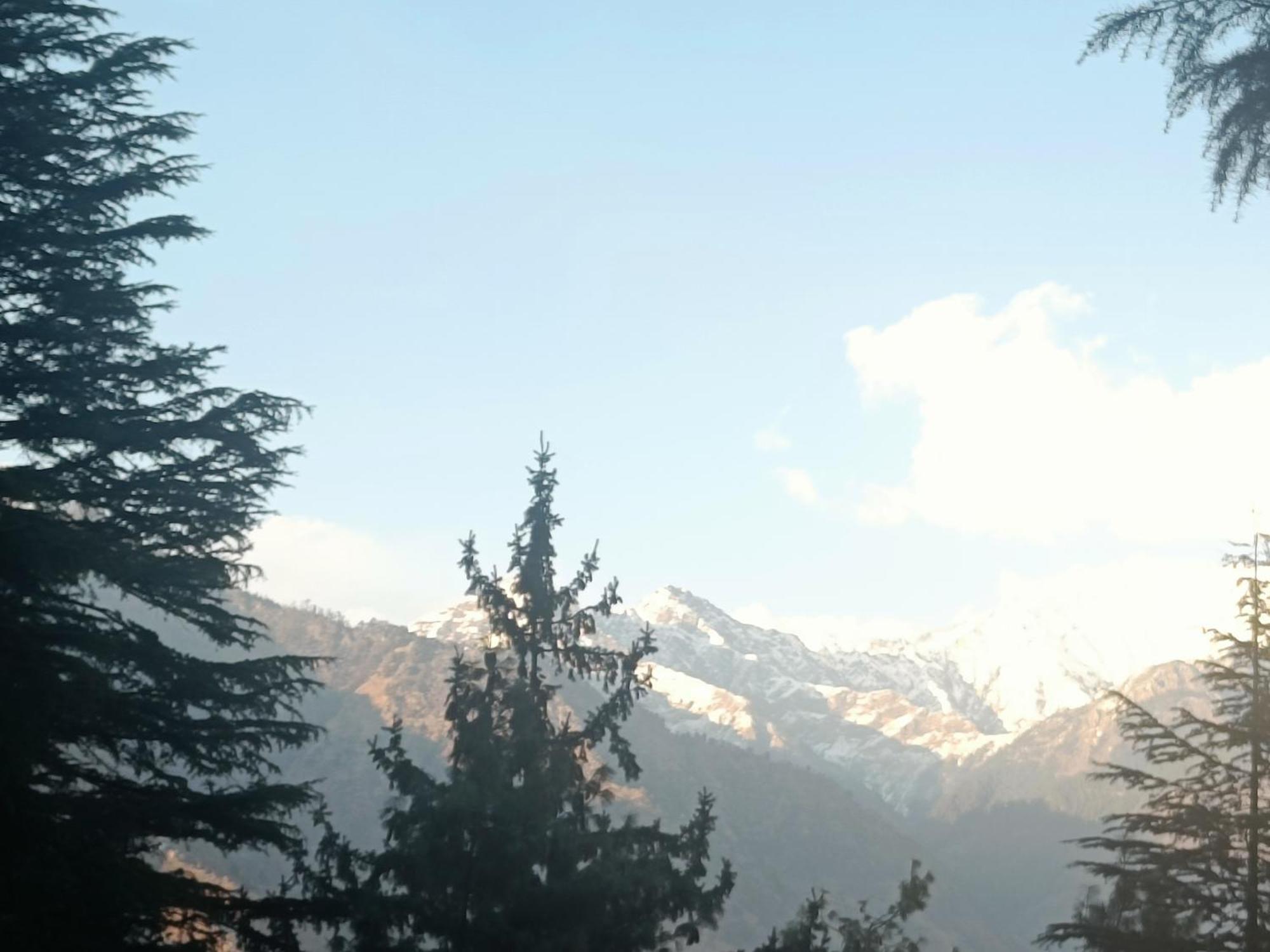 Trimounts-A Boutique Hotel & Wellnes Center In Tirthan Valley Banjār Extérieur photo
